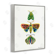 Farida Zaman | Bright Moths Earth Tones