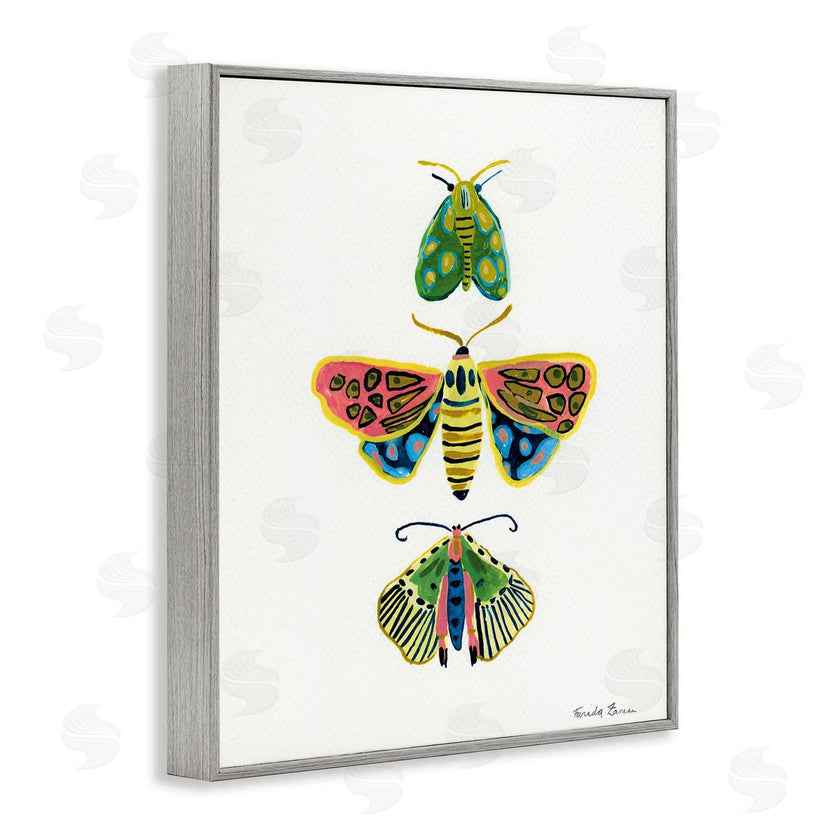 Farida Zaman | Bright Moths Earth Tones