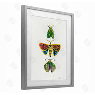 Farida Zaman | Bright Moths Earth Tones