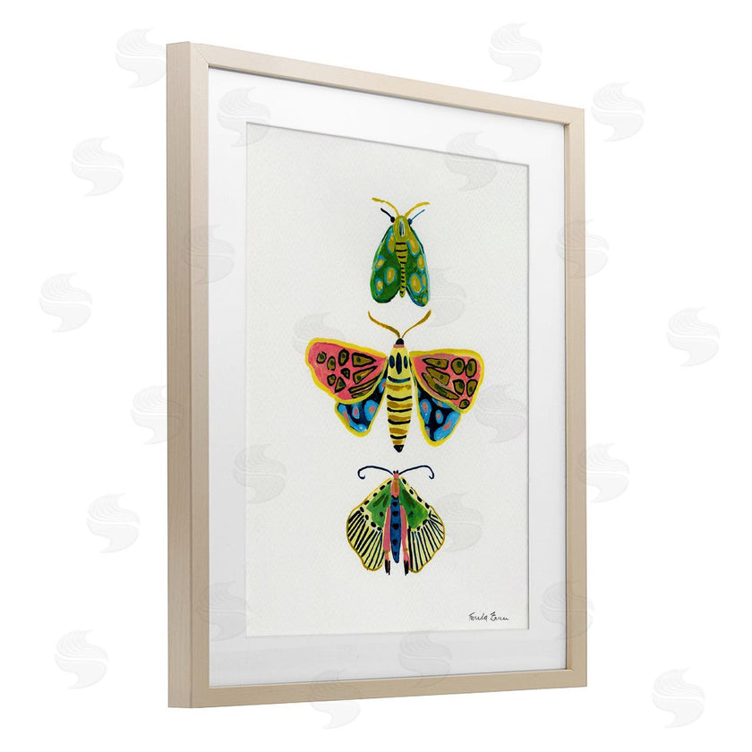 Farida Zaman | Bright Moths Earth Tones