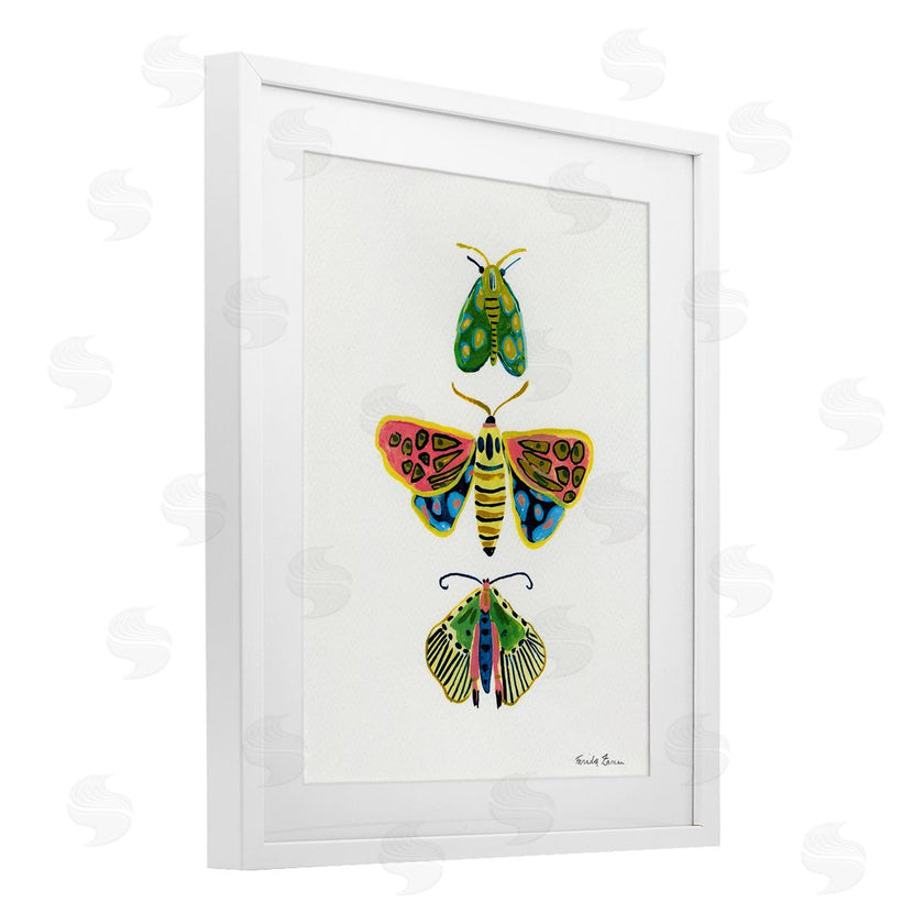 Farida Zaman | Bright Moths Earth Tones