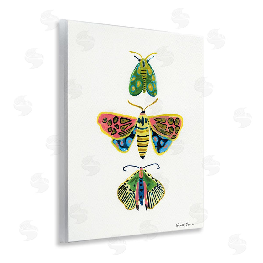 Farida Zaman | Bright Moths Earth Tones