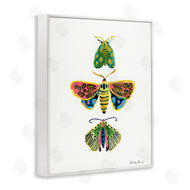 Farida Zaman | Bright Moths Earth Tones