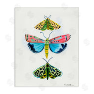 Farida Zaman | Bright Moths Trio