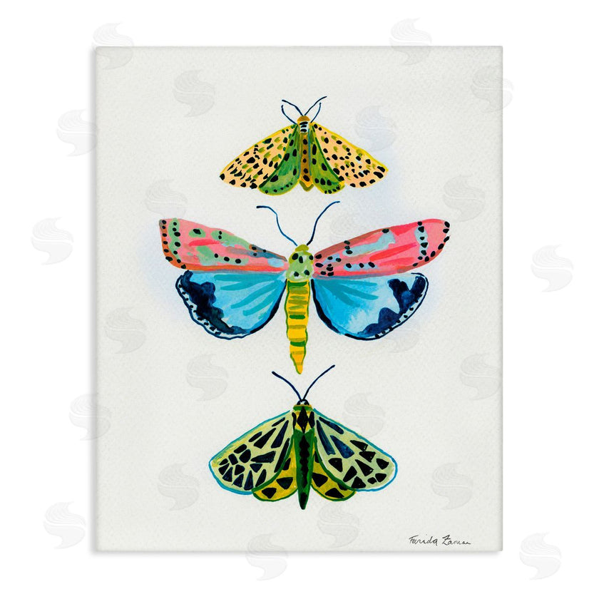 Farida Zaman | Bright Moths Trio
