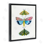 Farida Zaman | Bright Moths Trio