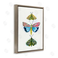 Farida Zaman | Bright Moths Trio