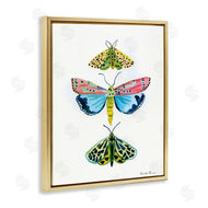 Farida Zaman | Bright Moths Trio