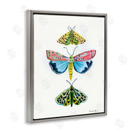 Farida Zaman | Bright Moths Trio