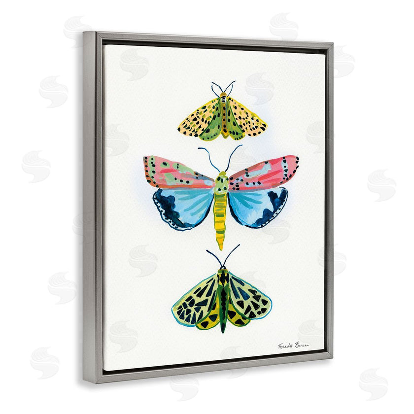 Farida Zaman | Bright Moths Trio