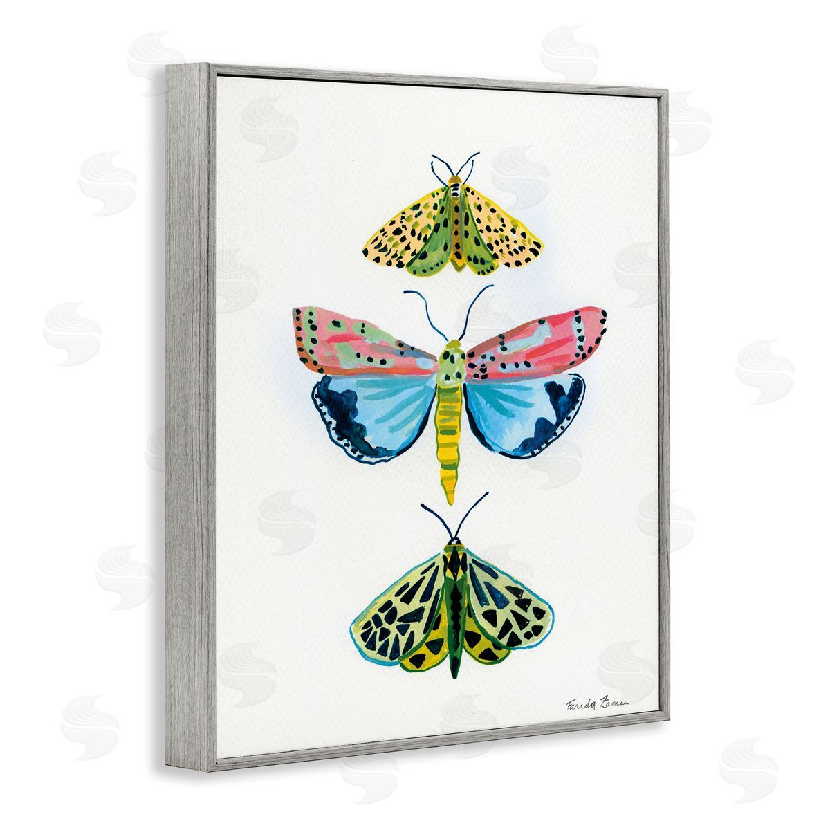 Farida Zaman Bright Moths Trio Canvas Wall Art Print