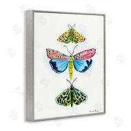 Farida Zaman | Bright Moths Trio