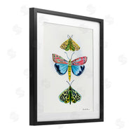 Farida Zaman | Bright Moths Trio