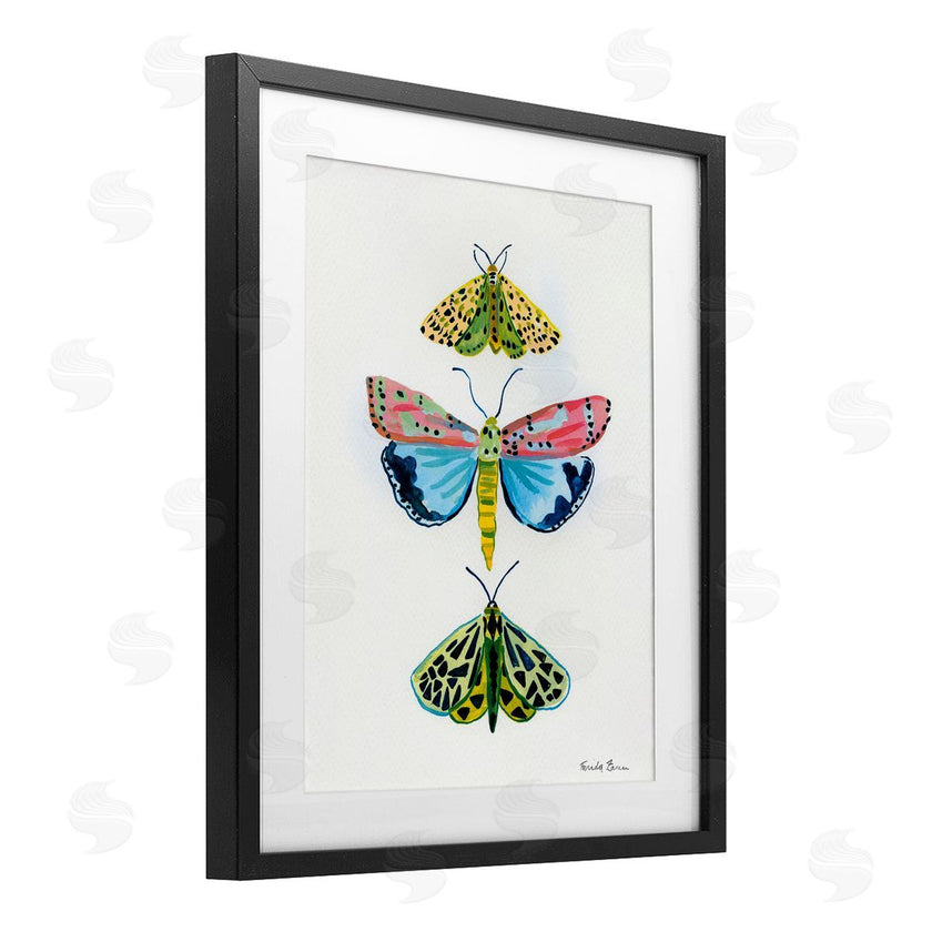 Farida Zaman | Bright Moths Trio