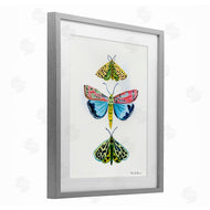 Farida Zaman | Bright Moths Trio