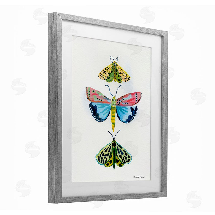 Farida Zaman | Bright Moths Trio
