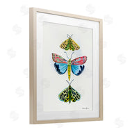 Farida Zaman | Bright Moths Trio