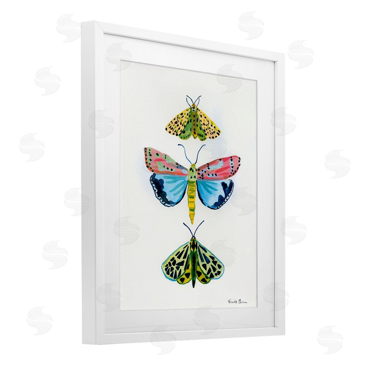 Farida Zaman Bright Moths Trio Canvas Wall Art Print