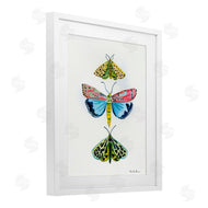 Farida Zaman | Bright Moths Trio