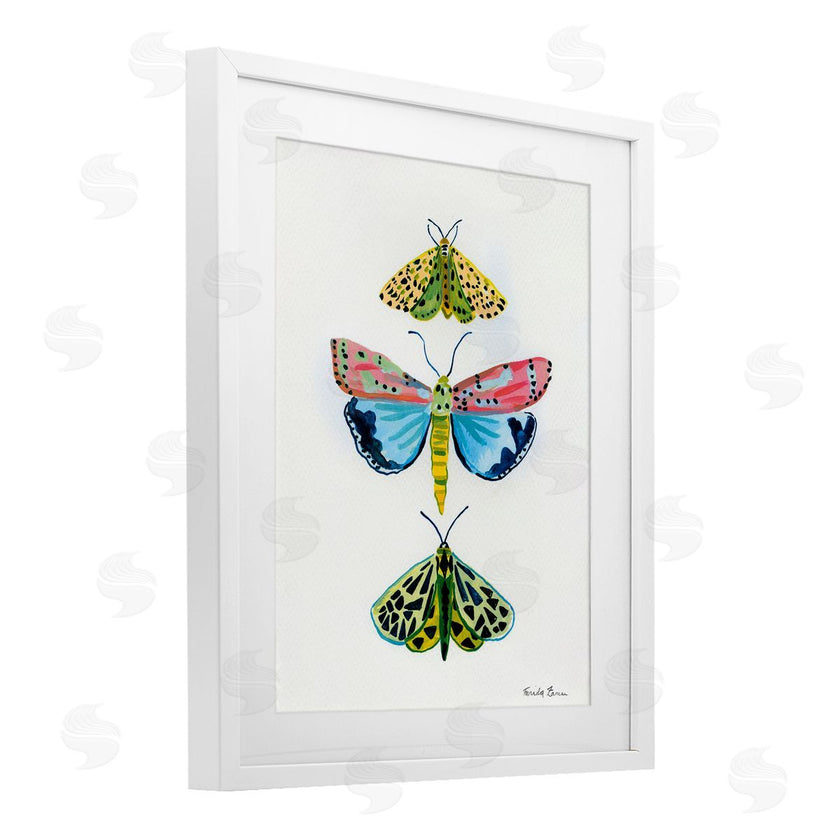 Farida Zaman | Bright Moths Trio