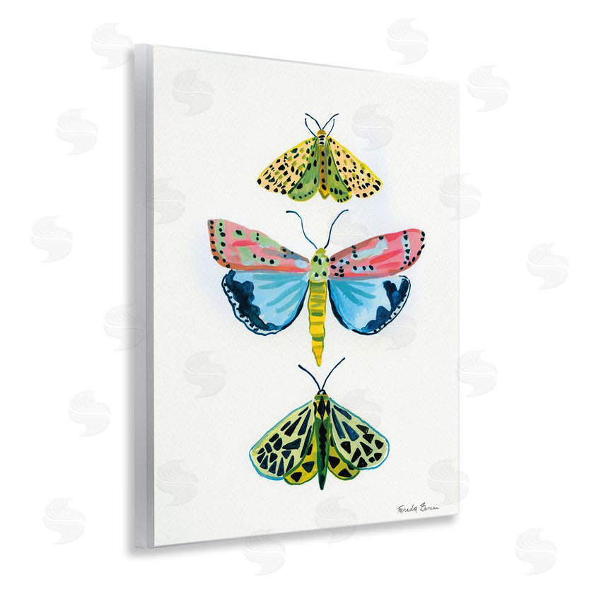 Farida Zaman | Bright Moths Trio