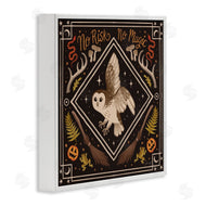 Janelle Penner | No Risks or Magic Owl
