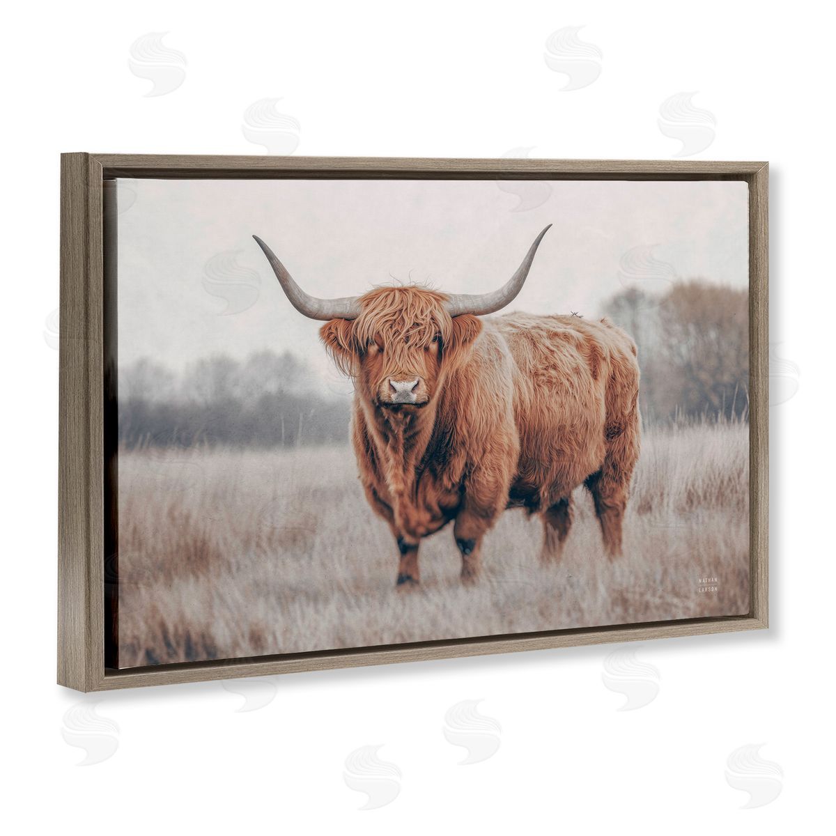 Nathan Larson Center Of Attention Cattle Canvas Wall Art Print
