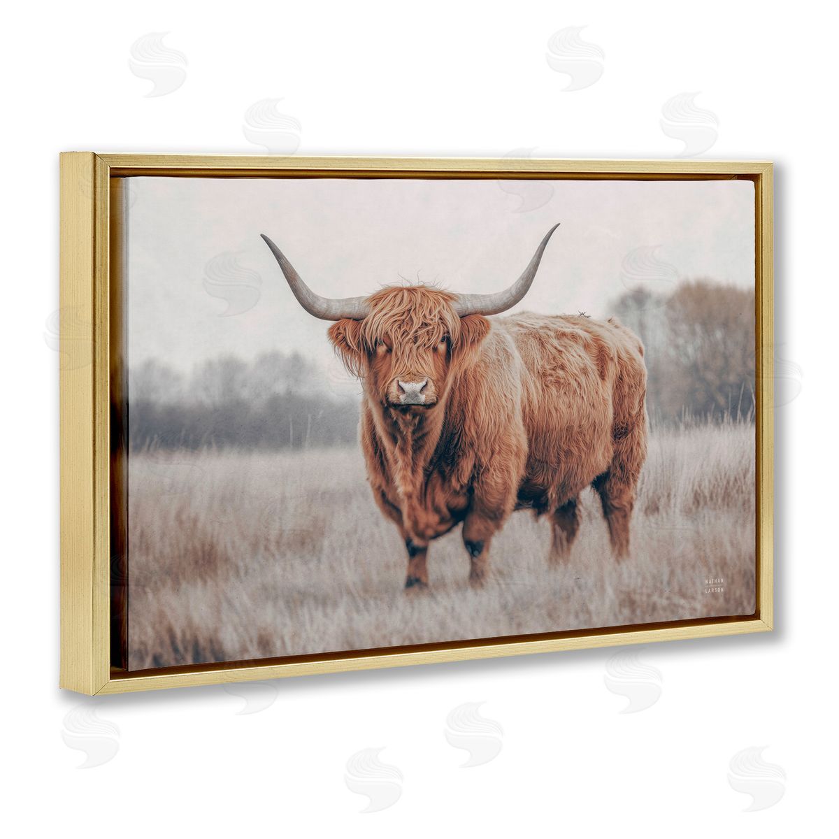 Nathan Larson Center Of Attention Cattle Canvas Wall Art Print