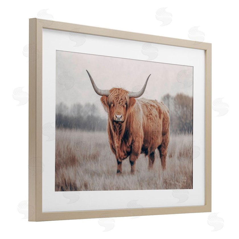 Nathan Larson | Center Of Attention Cattle