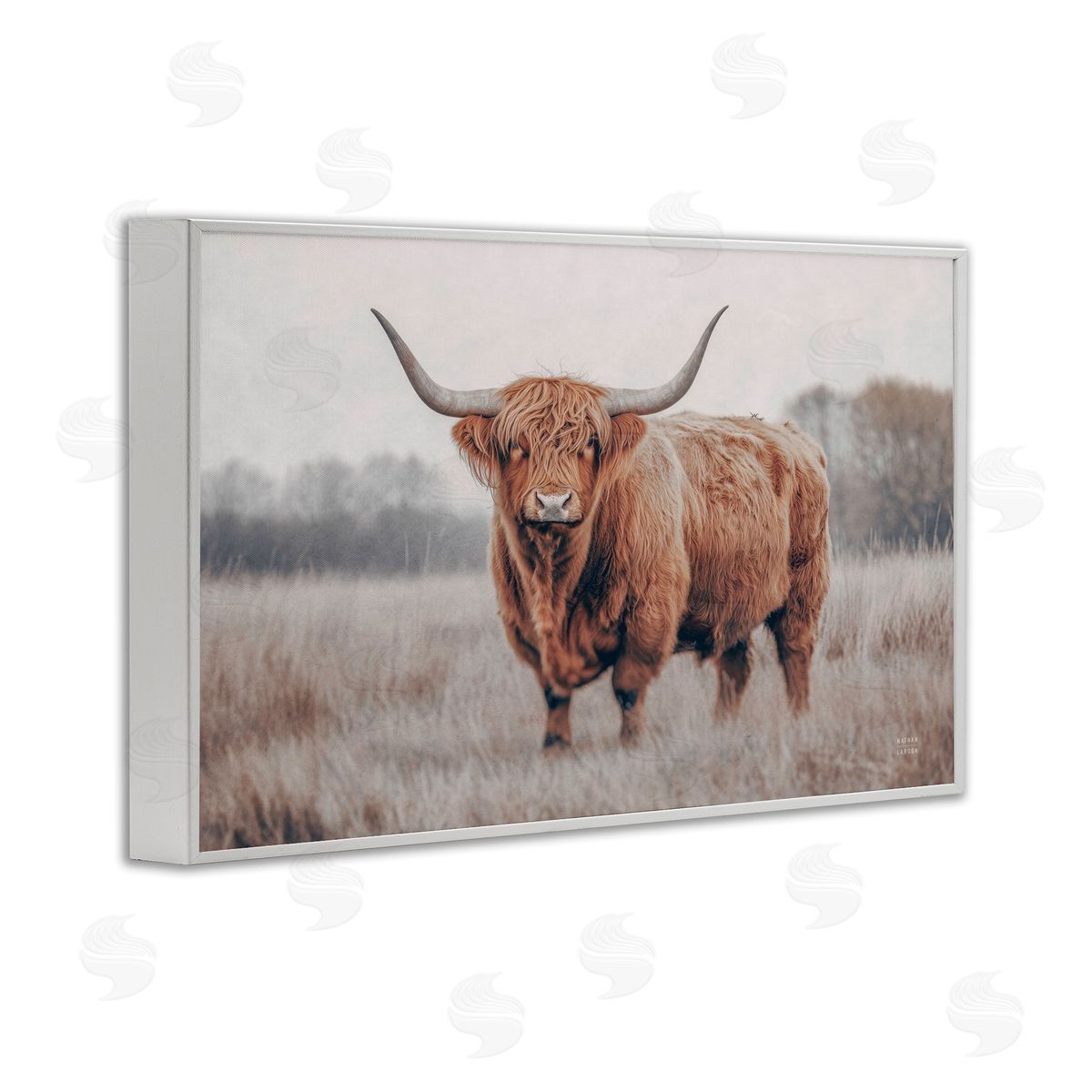 Nathan Larson Center Of Attention Cattle Canvas Wall Art Print