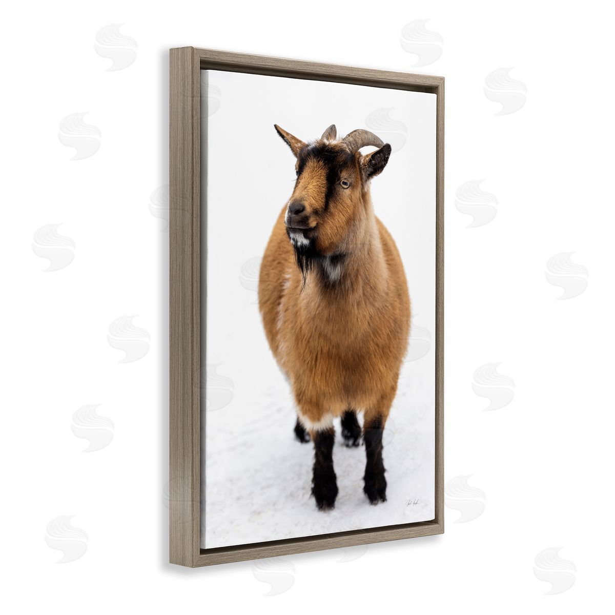 Deborah Revell Brown Little Goat Canvas Wall Art Print