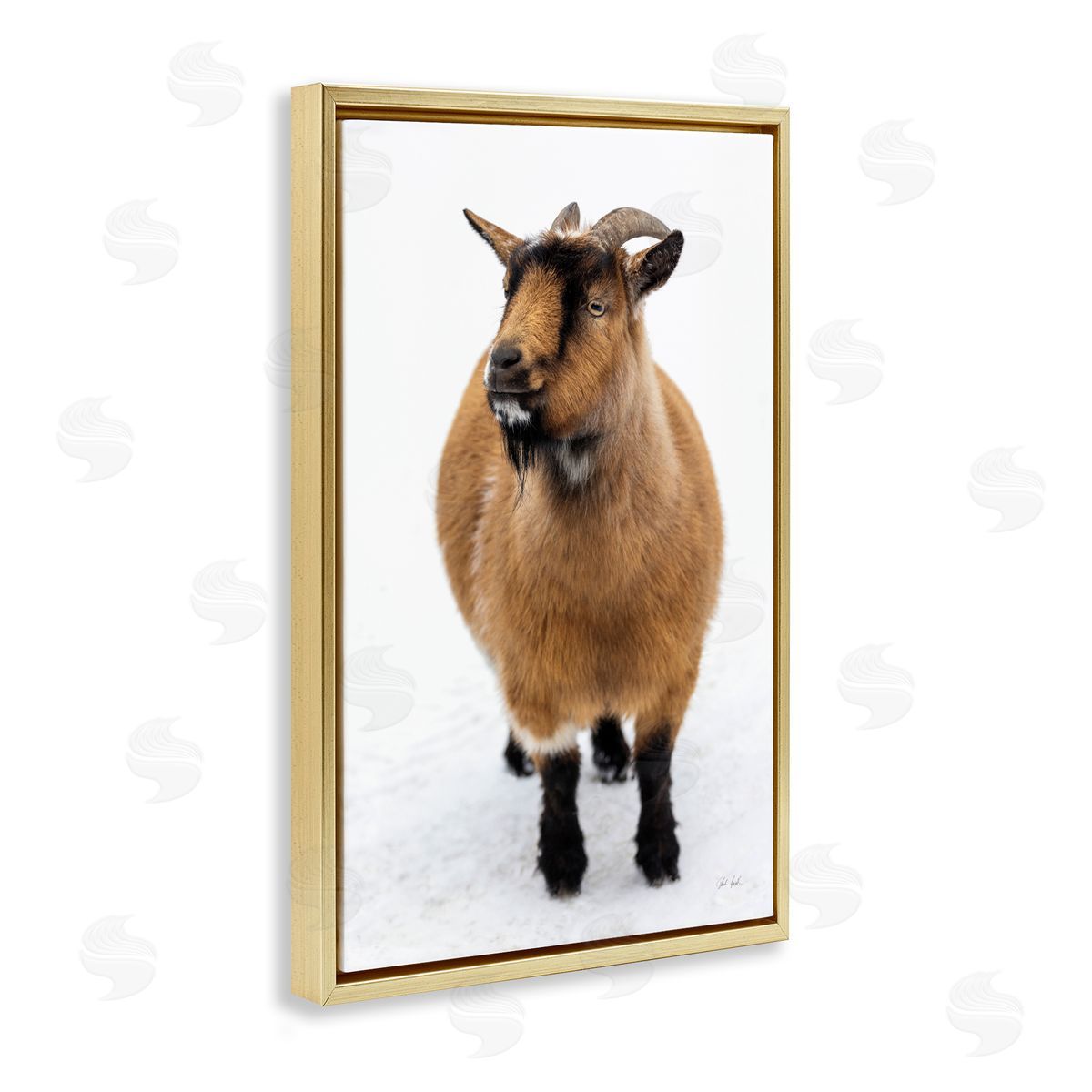 Deborah Revell Brown Little Goat Canvas Wall Art Print