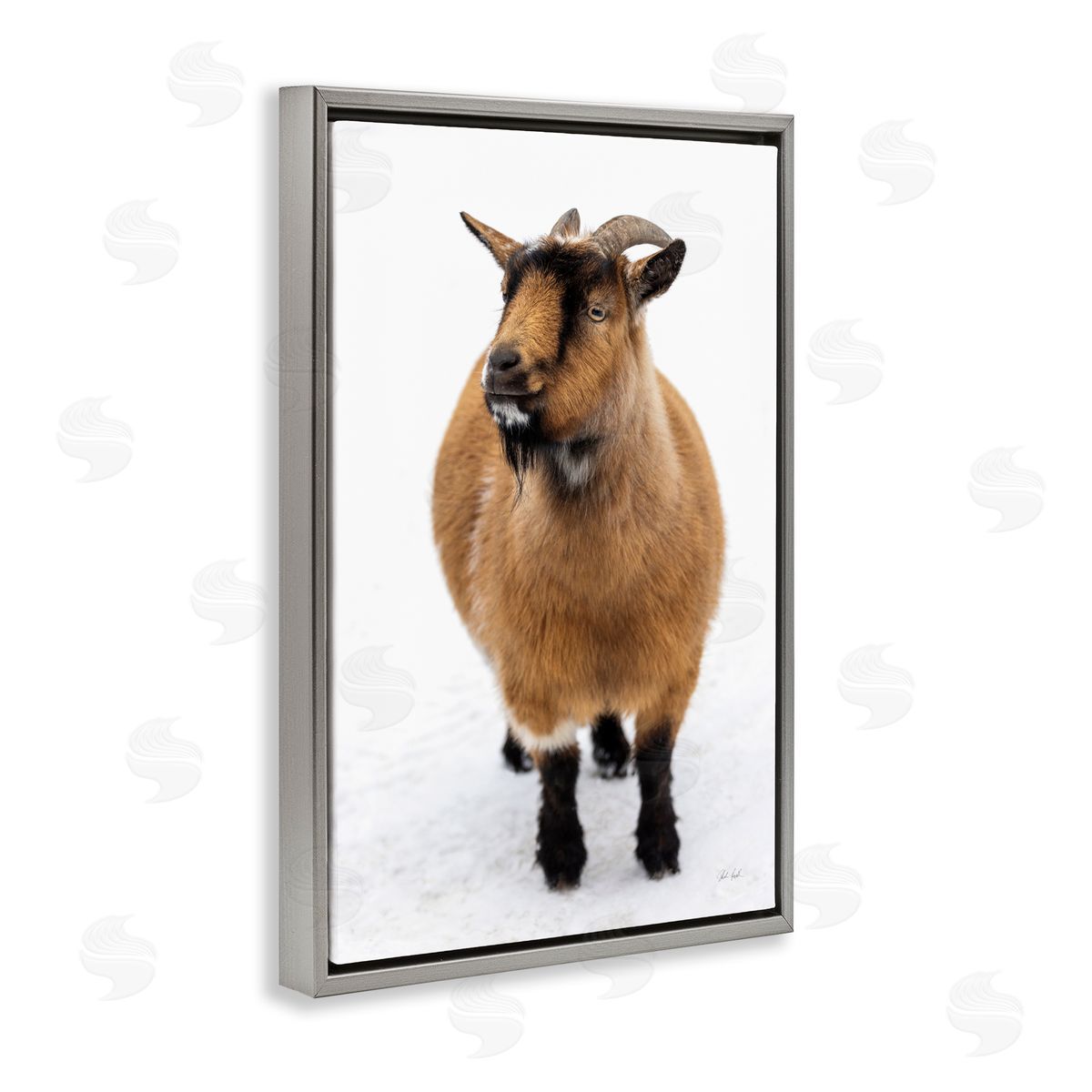 Deborah Revell Brown Little Goat Canvas Wall Art Print