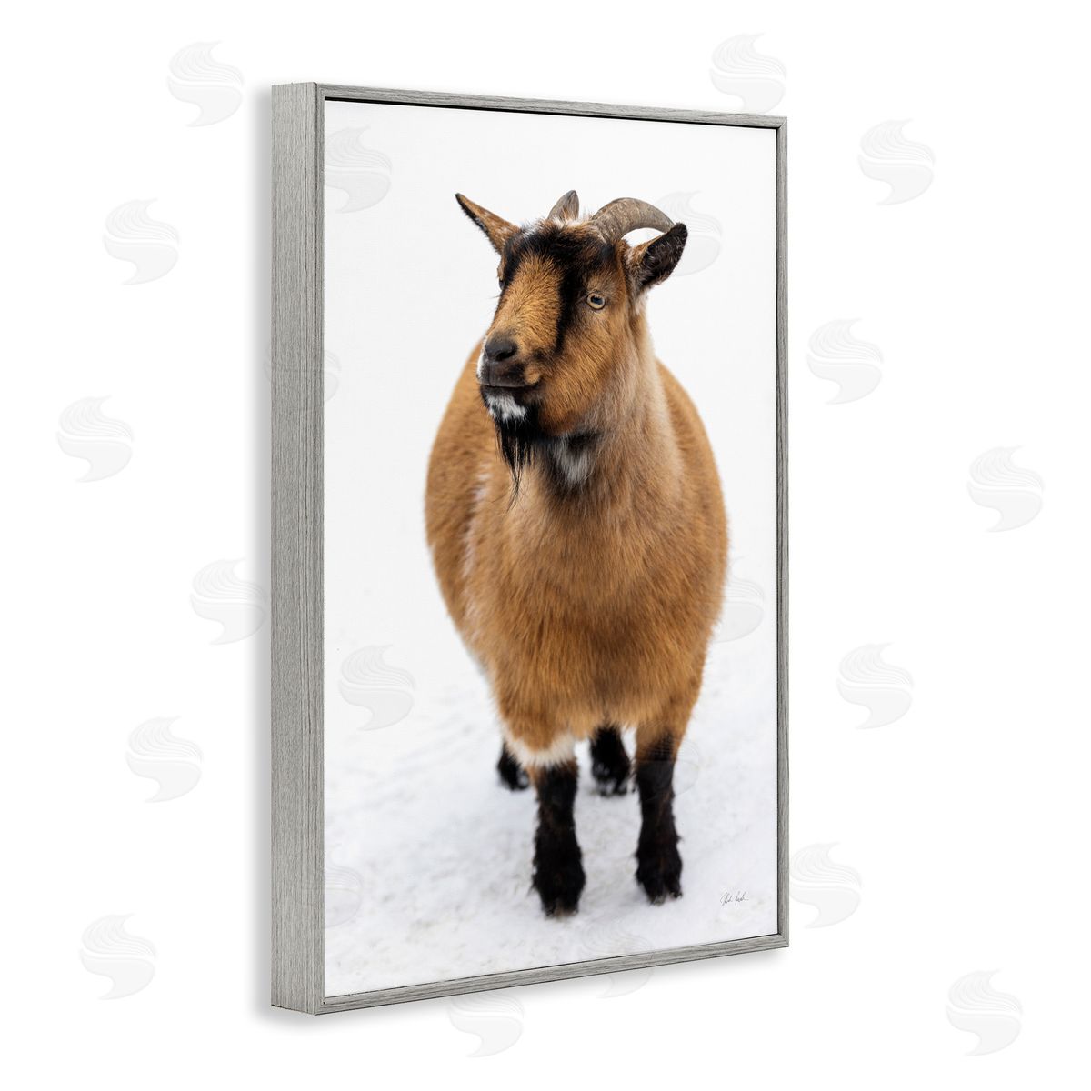 Deborah Revell Brown Little Goat Canvas Wall Art Print