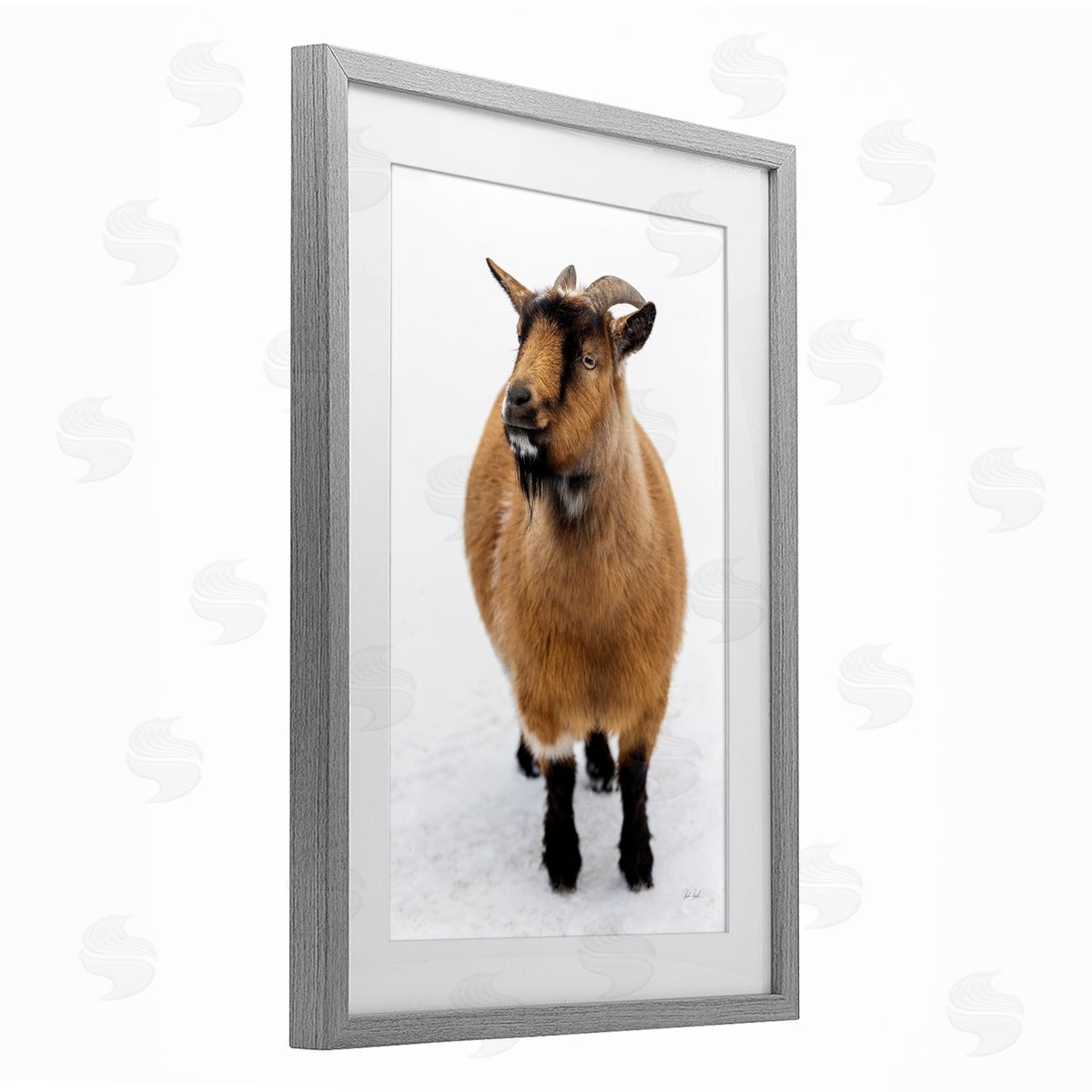 Deborah Revell Brown Little Goat Canvas Wall Art Print