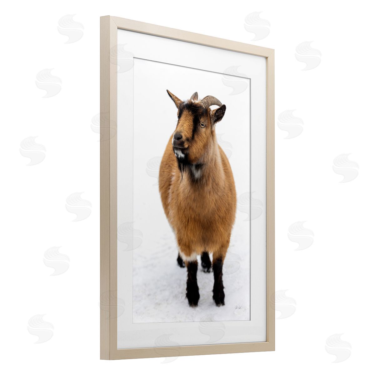 Deborah Revell Brown Little Goat Canvas Wall Art Print