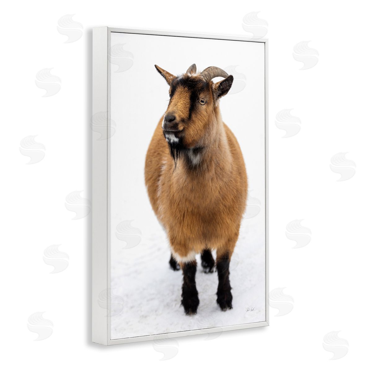 Deborah Revell Brown Little Goat Canvas Wall Art Print
