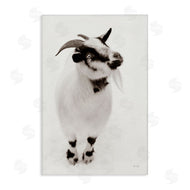 Deborah Revell | White Little Goat