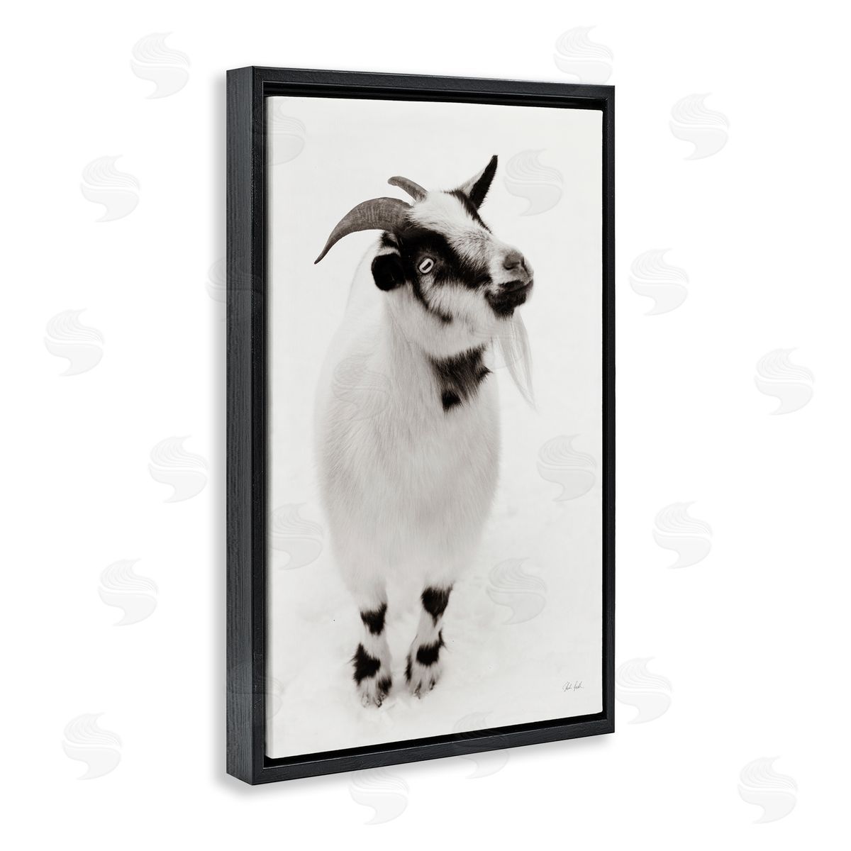 Deborah Revell White Little Goat Canvas Wall Art Print