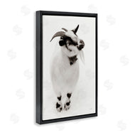 Deborah Revell | White Little Goat