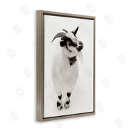 Deborah Revell | White Little Goat