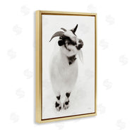Deborah Revell | White Little Goat