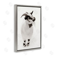 Deborah Revell | White Little Goat