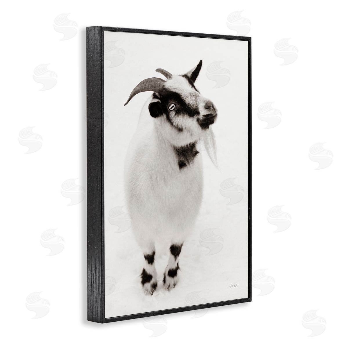 Deborah Revell White Little Goat Canvas Wall Art Print