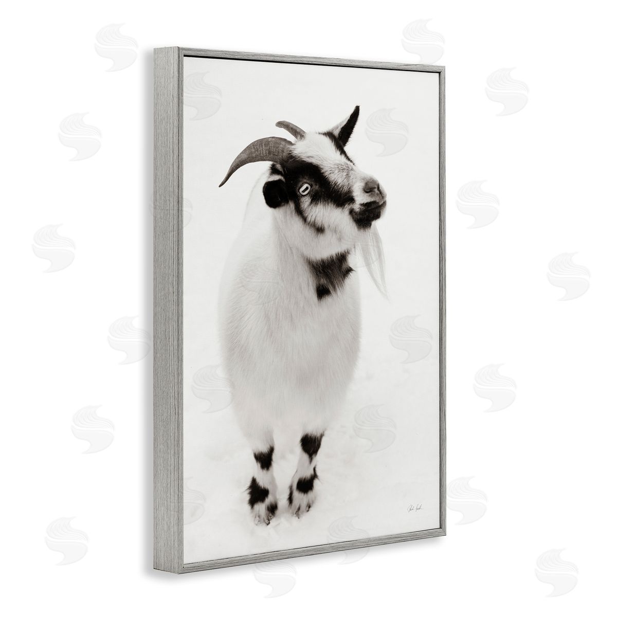 Deborah Revell White Little Goat Canvas Wall Art Print
