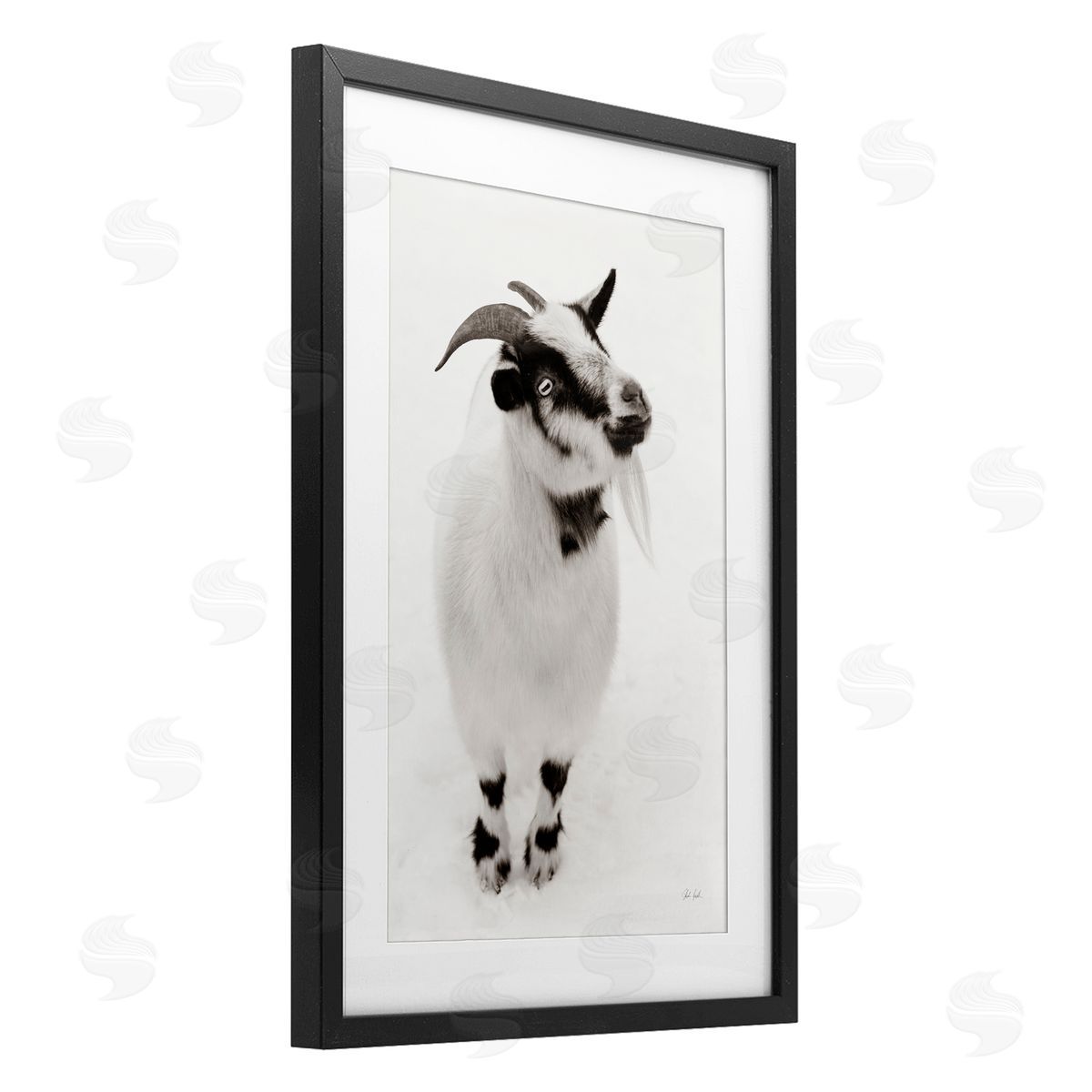 Deborah Revell White Little Goat Canvas Wall Art Print