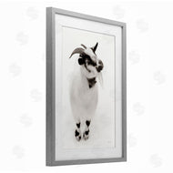 Deborah Revell | White Little Goat