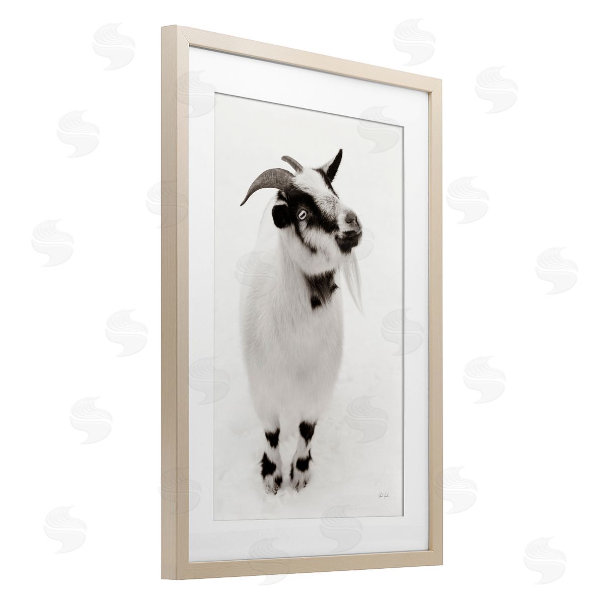 Deborah Revell White Little Goat Canvas Wall Art Print