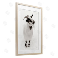 Deborah Revell | White Little Goat