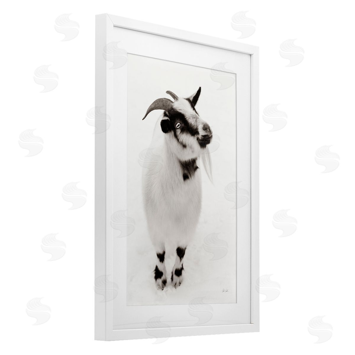 Deborah Revell White Little Goat Canvas Wall Art Print